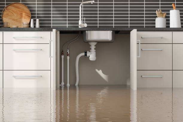 Best Wood Floor Water Damage Restoration in Pleasantville, IA