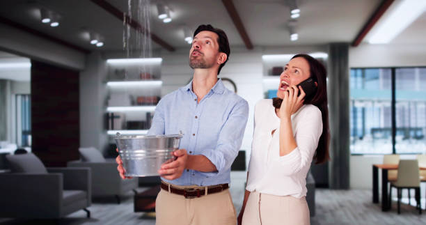 Best Sewage Cleanup and Restoration in Pleasantville, IA