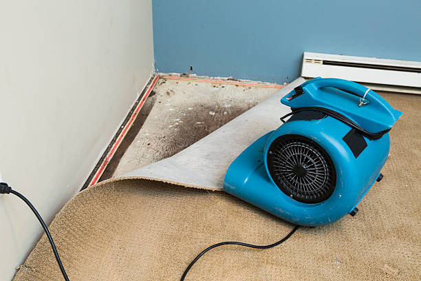 Trusted Water Damage Restoration in Pleasantville, IA | Fast, Reliable, and Ready to Assist You